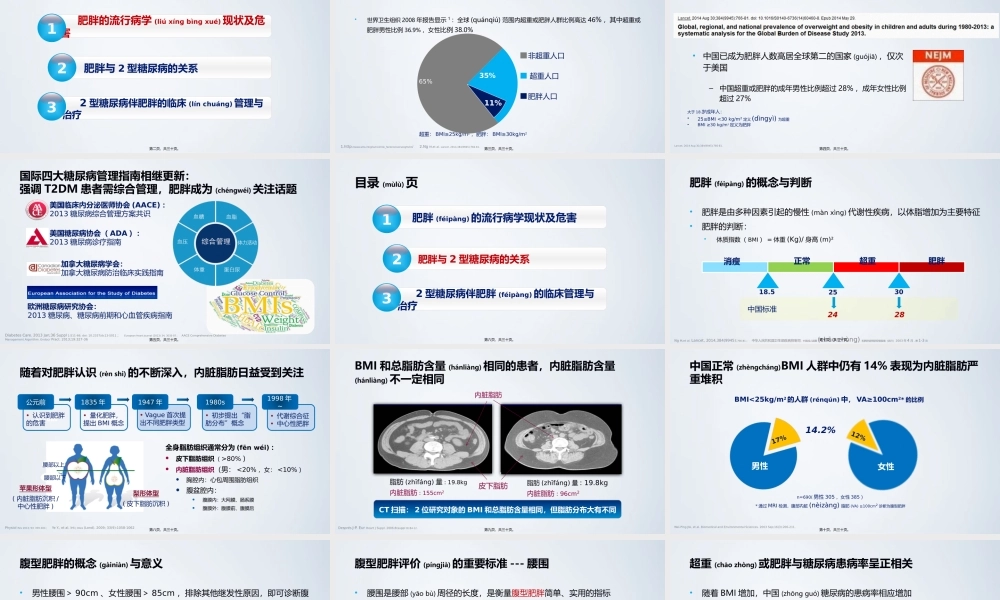 2022年医学专题—肥胖与2型糖尿病.pptx
