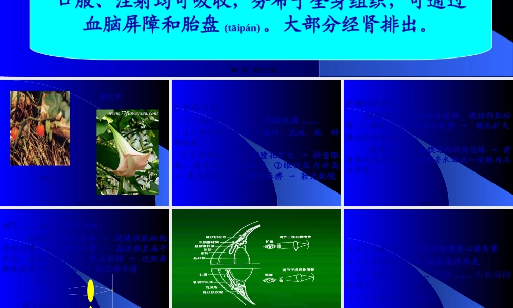 2022年医学专题—胆碱受体阻断剂.ppt