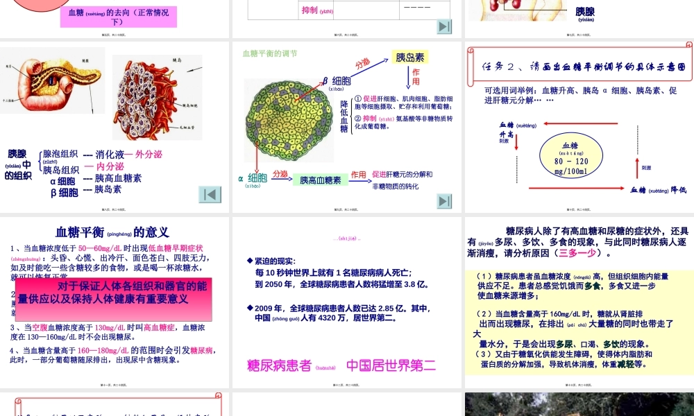 2022年医学专题—胰岛α细胞、胰岛素.ppt