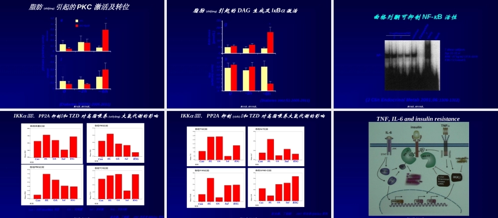2022年医学专题—脂肪内分泌学.ppt