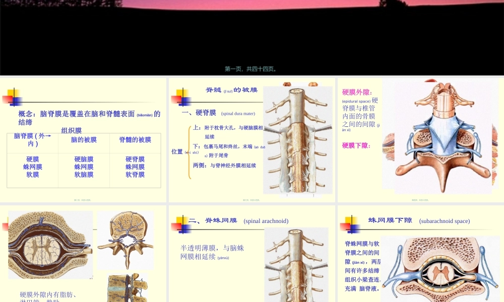 2022年医学专题—脑和脊髓被膜、血管、脑脊液循环-10影像、针推.ppt