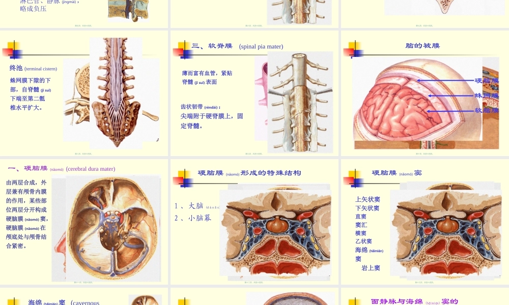 2022年医学专题—脑和脊髓被膜、血管、脑脊液循环-10影像、针推.ppt