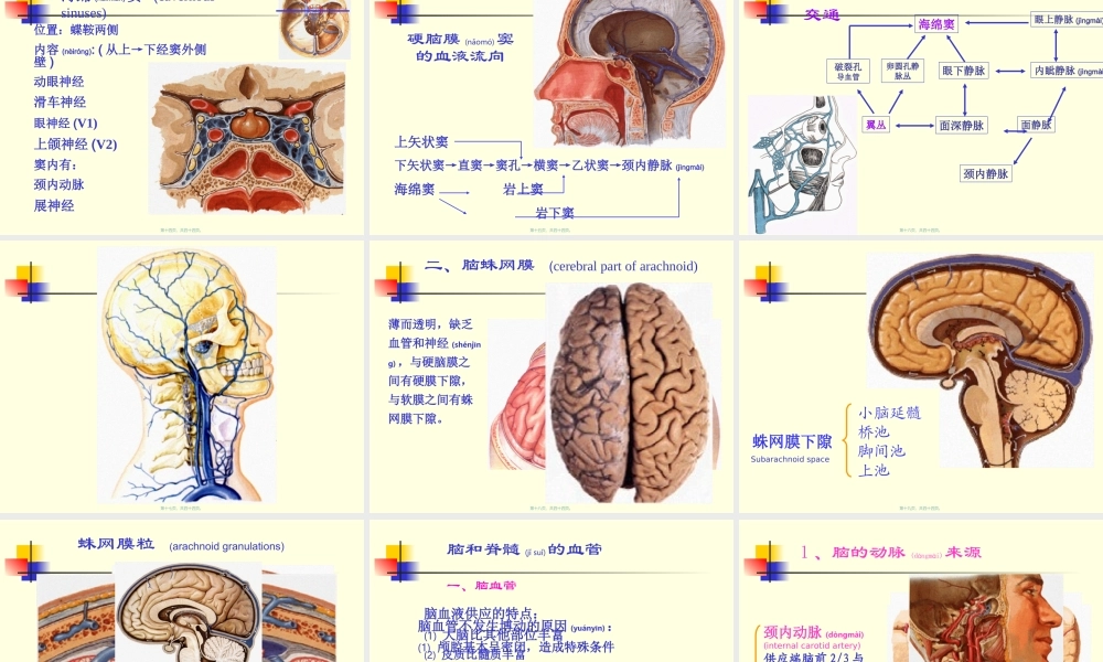 2022年医学专题—脑和脊髓被膜、血管、脑脊液循环-10影像、针推.ppt