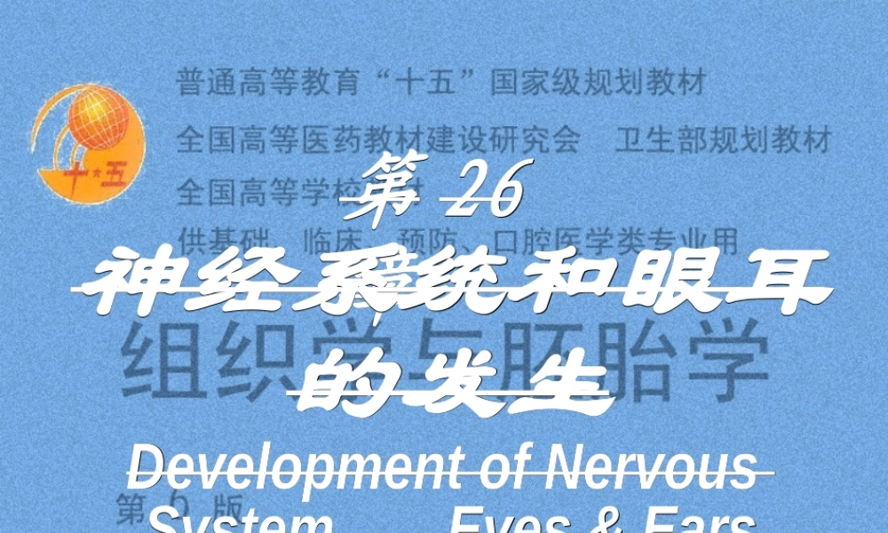 2022年医学专题—脑神经系统-神经系统和眼耳的发生..ppt