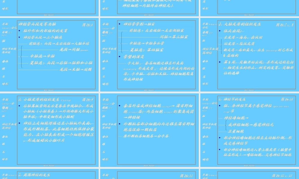 2022年医学专题—脑神经系统-神经系统和眼耳的发生..ppt