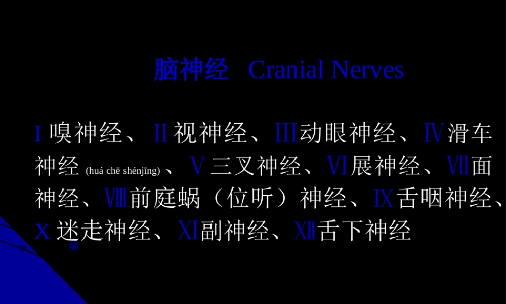 2022年医学专题—脑神经、植物神经幻灯片.ppt