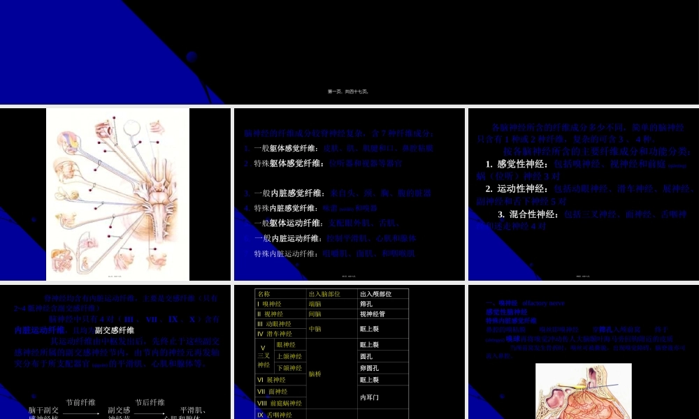2022年医学专题—脑神经、植物神经幻灯片.ppt