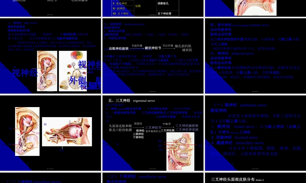 2022年医学专题—脑神经、植物神经幻灯片.ppt