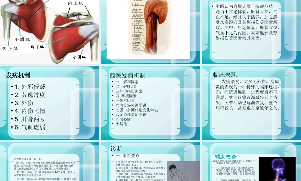 26骨科-肩周炎(1).ppt
