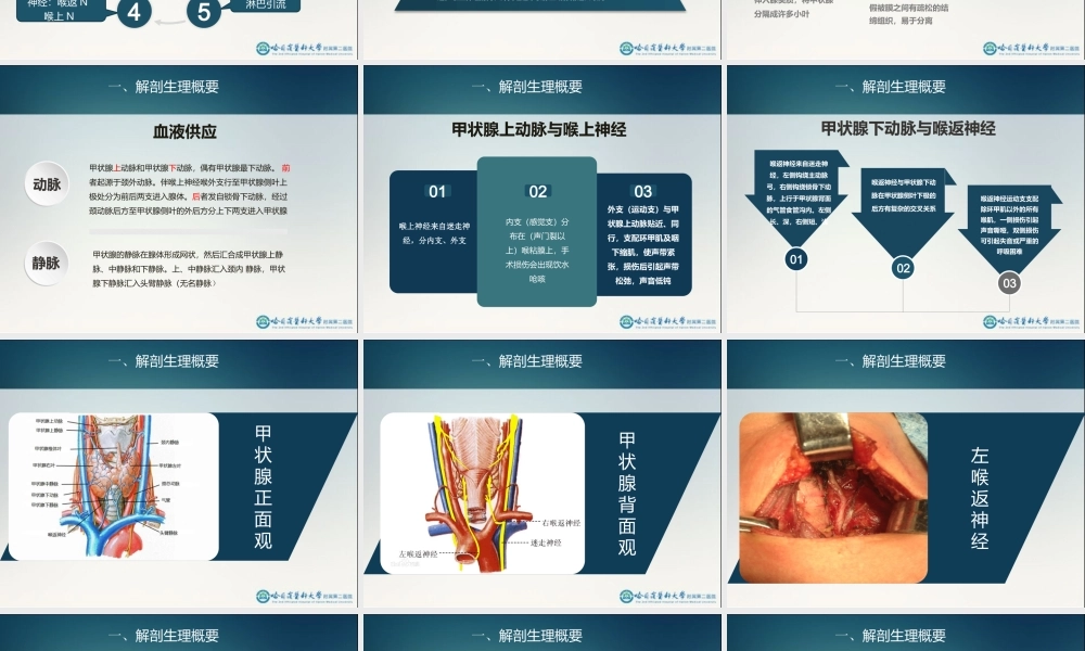 29骨科-颈部疾病(1).ppt