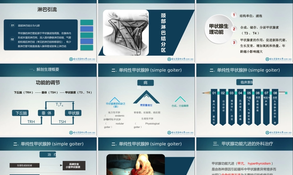 29骨科-颈部疾病(1).ppt