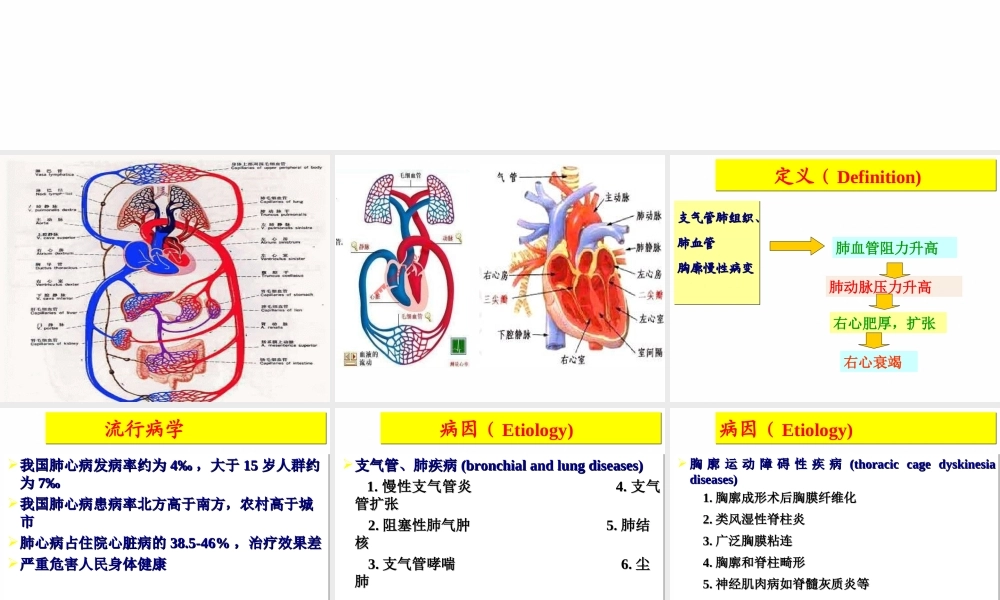 37呼吸内科-肺源性心脏病(1).ppt