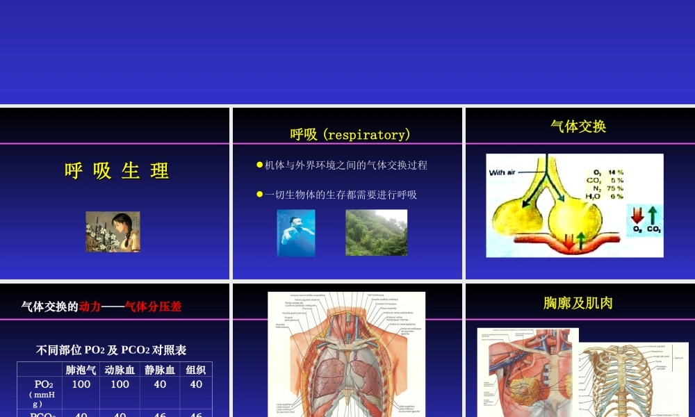 39呼吸内科-呼吸衰竭ppt(1).ppt