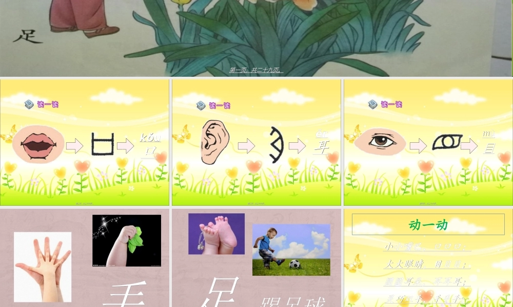 3《口耳目》.ppt