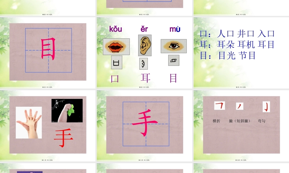 3《口耳目》.pptx