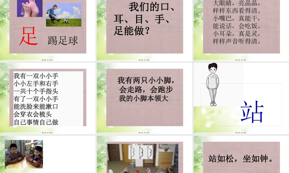 3《口耳目》.pptx