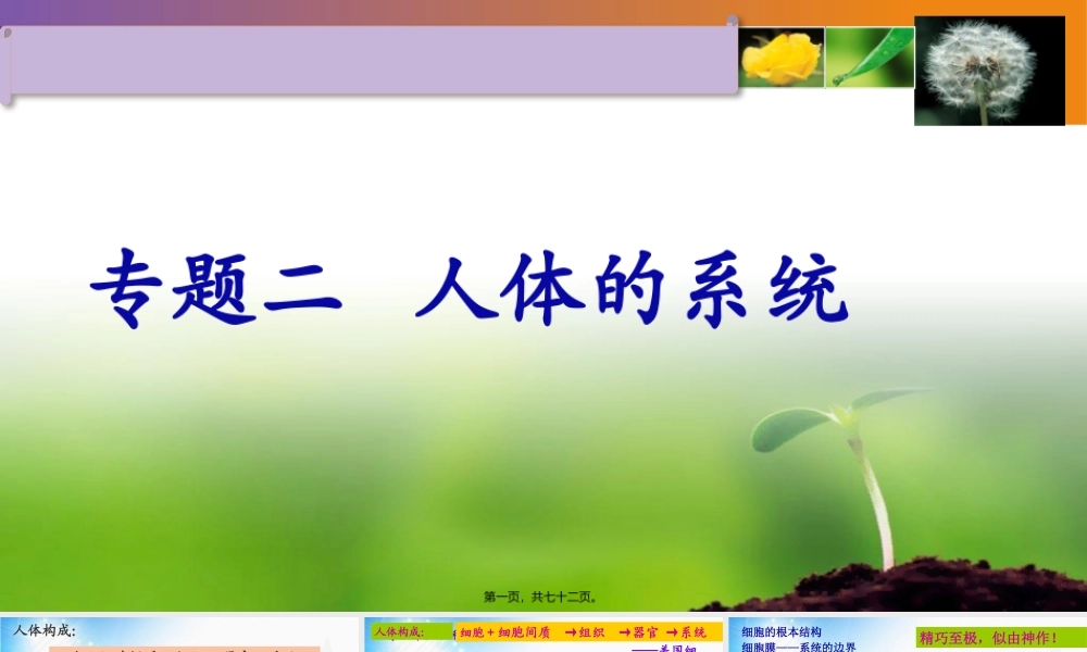 3人体系统.pptx