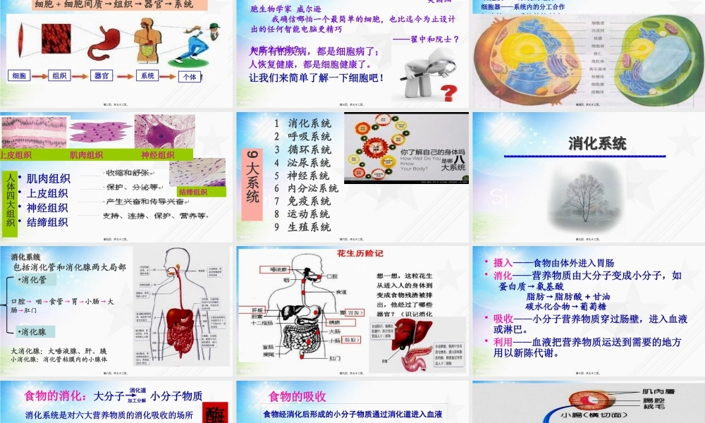 3人体系统.pptx