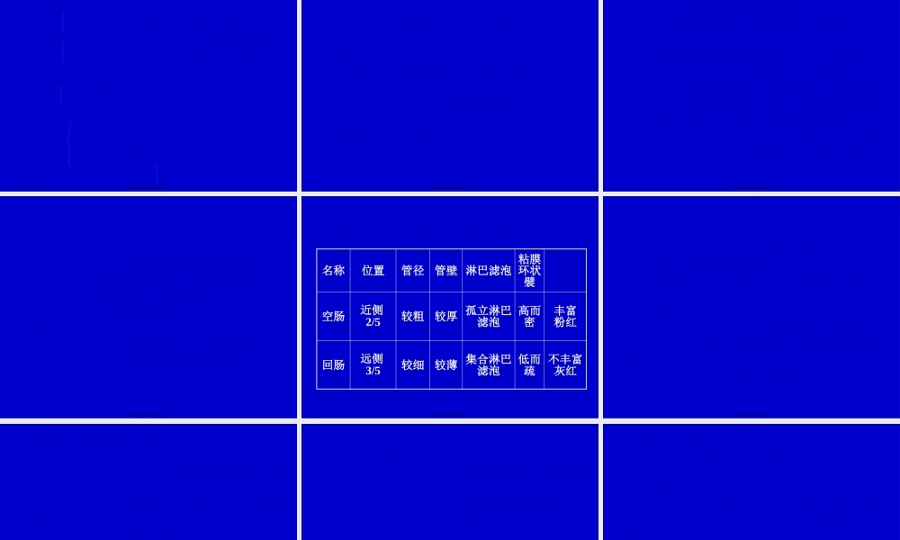 3内脏总论、消化管.pptx