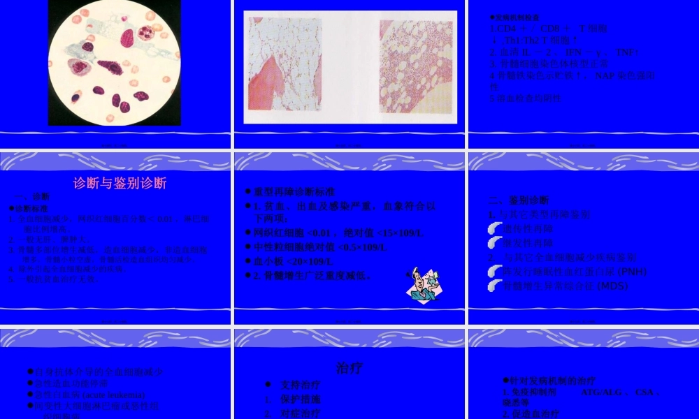 3再生障碍性贫血.pptx