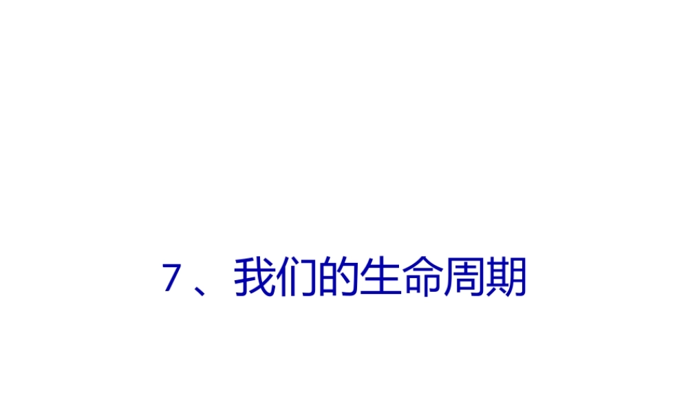 3我们的生命周期ppt.pptx