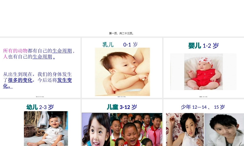 3我们的生命周期ppt.pptx