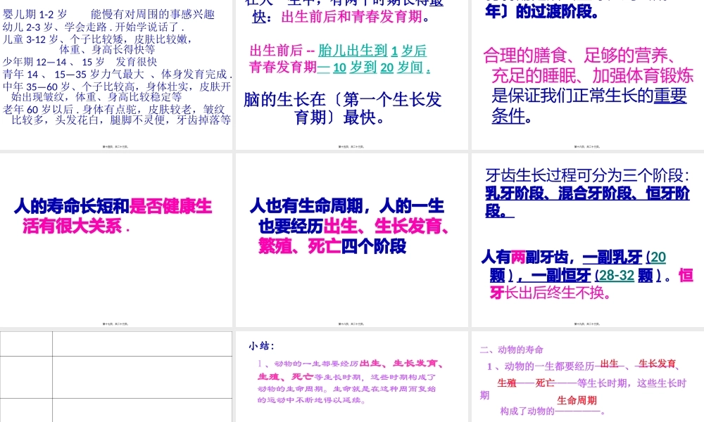 3我们的生命周期ppt.pptx