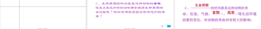 3我们的生命周期ppt.pptx