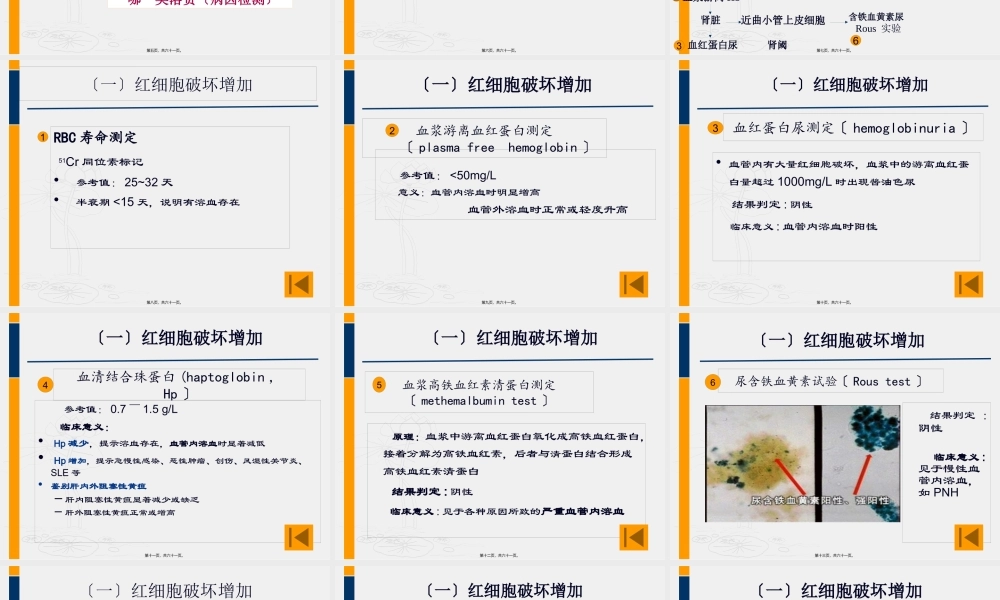 3溶血性贫血.pptx