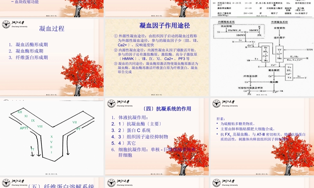3止血和血栓检测-杜华平.pptx
