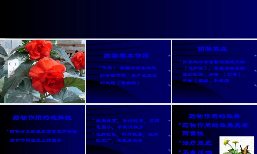 3第三章-药效学.pptx