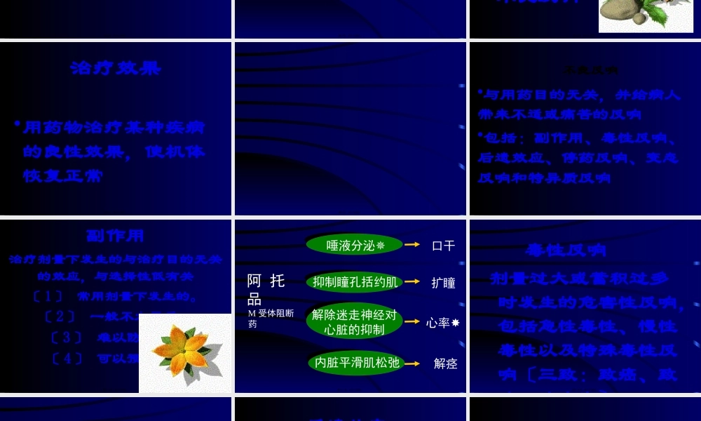 3第三章-药效学.pptx