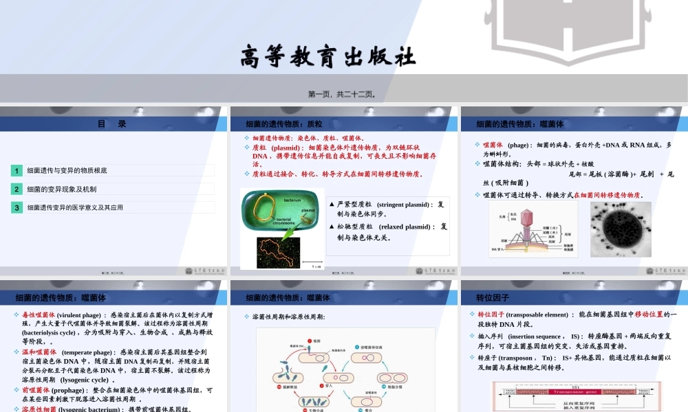 3版第2章细菌的遗传与变异.pptx