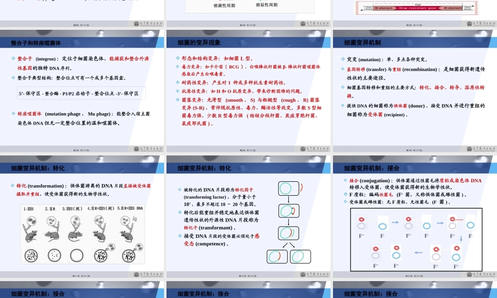 3版第2章细菌的遗传与变异.pptx