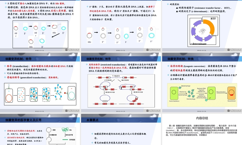 3版第2章细菌的遗传与变异.pptx