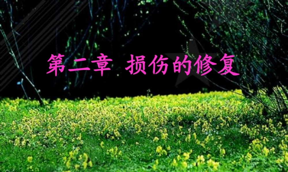 3第三讲-局部血液循环障碍.pptx