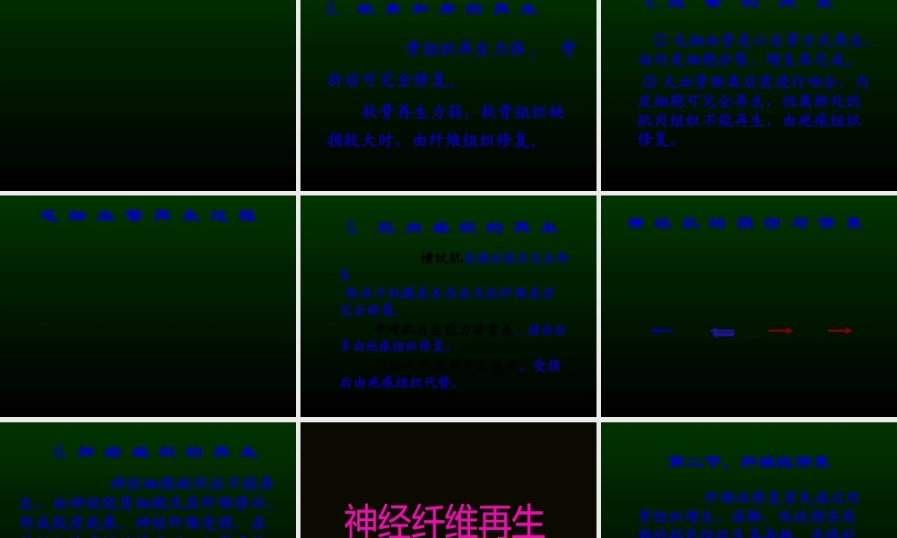 3第三讲-局部血液循环障碍.pptx