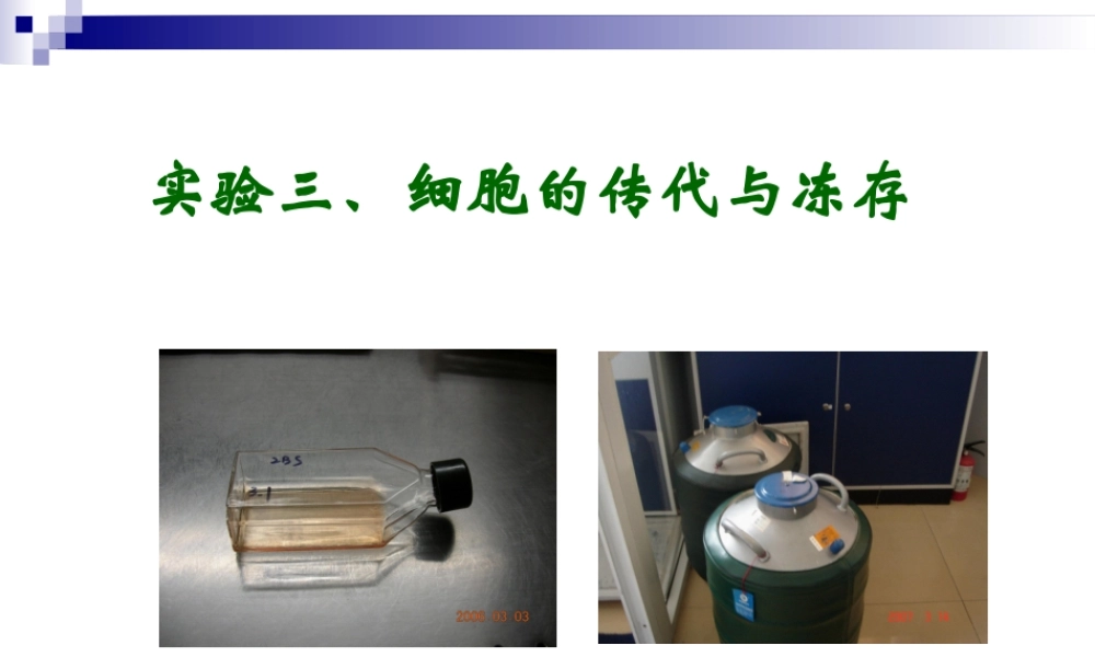3贴壁细胞和悬浮细胞传代方法上有什么不同.pptx