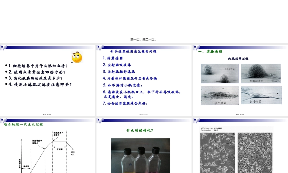3贴壁细胞和悬浮细胞传代方法上有什么不同.pptx