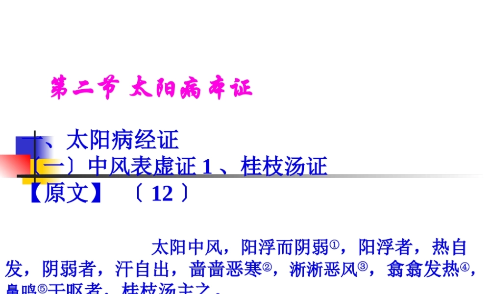 4-5.太阳本证(中西医班)演示文稿教程.pptx