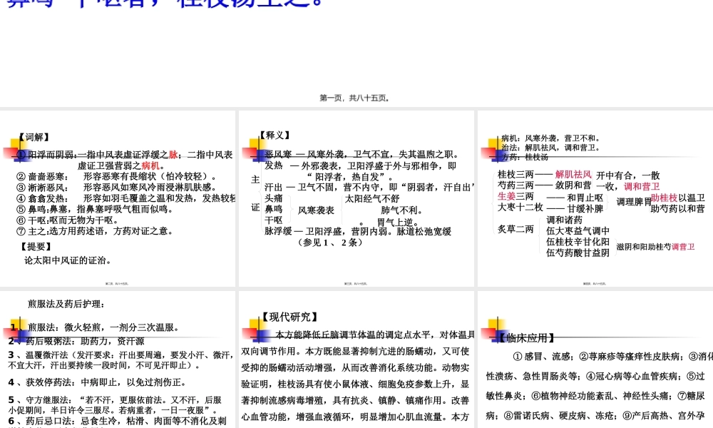 4-5.太阳本证(中西医班)演示文稿教程.pptx