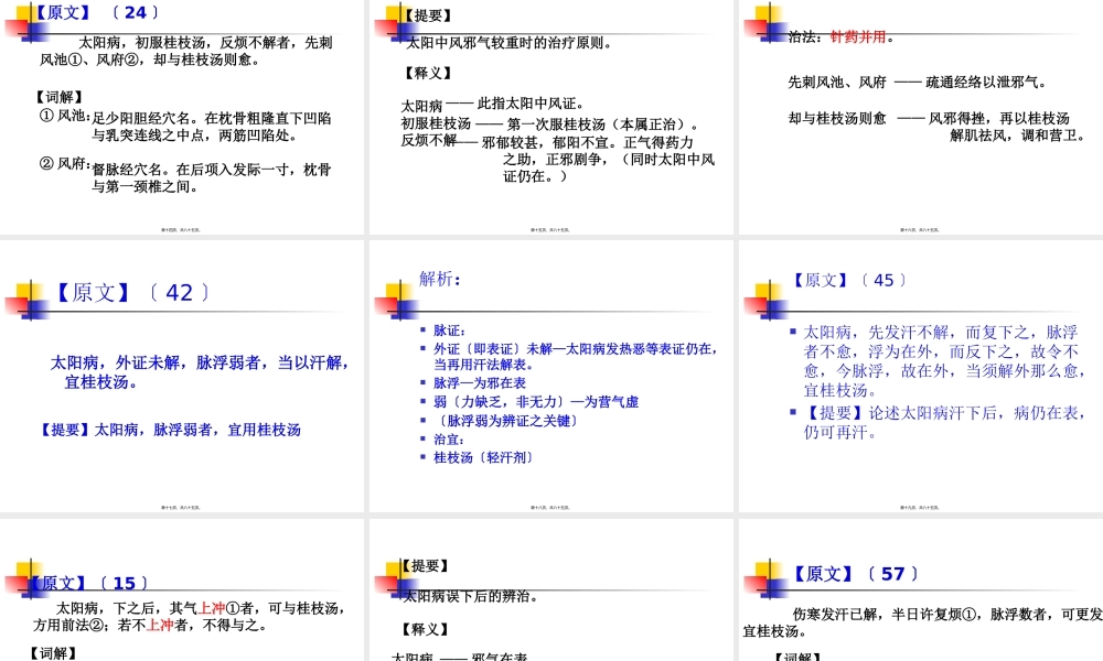 4-5.太阳本证(中西医班)演示文稿教程.pptx
