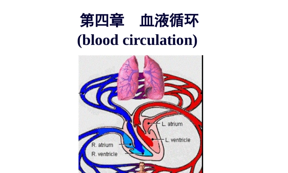 4-血液循环剖析.pptx