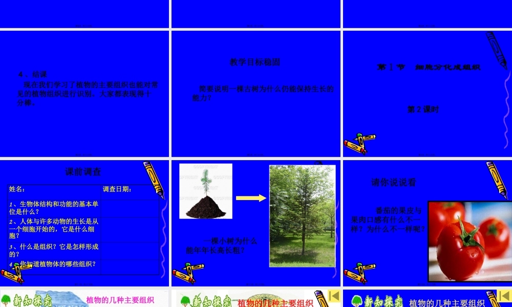 4.2细胞分化形成组织2.pptx