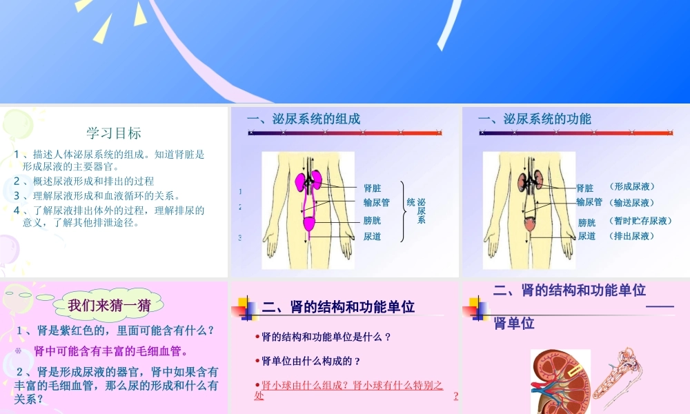 4.5人体内废物的排出-(共27张PPT).ppt