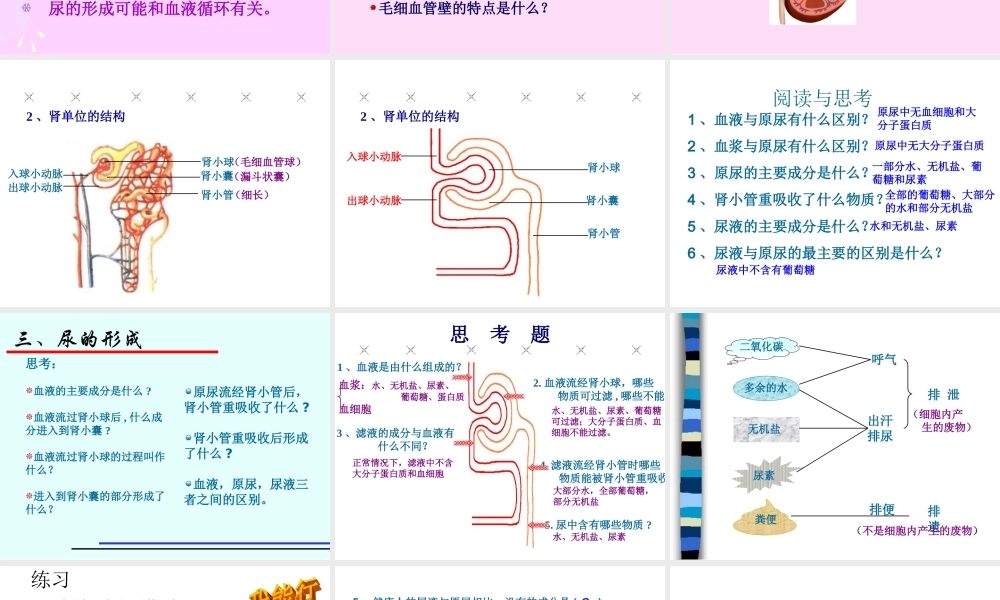 4.5人体内废物的排出-(共27张PPT).ppt