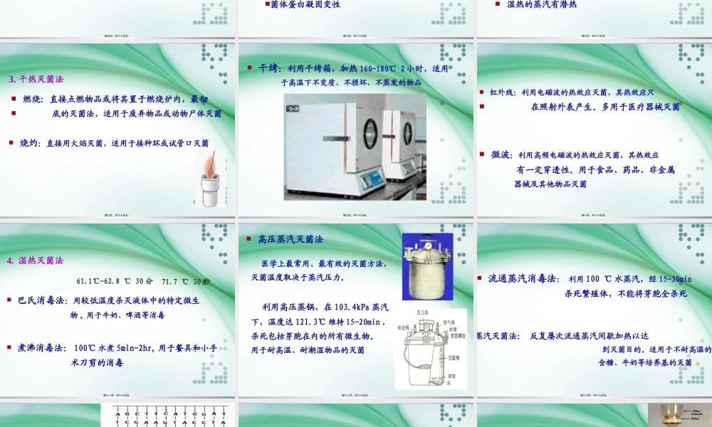 4.消毒灭菌与噬菌体(人卫8版).pptx
