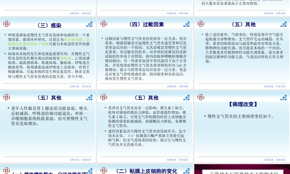 41呼吸内科-慢性支气管炎课件2012(1).ppt