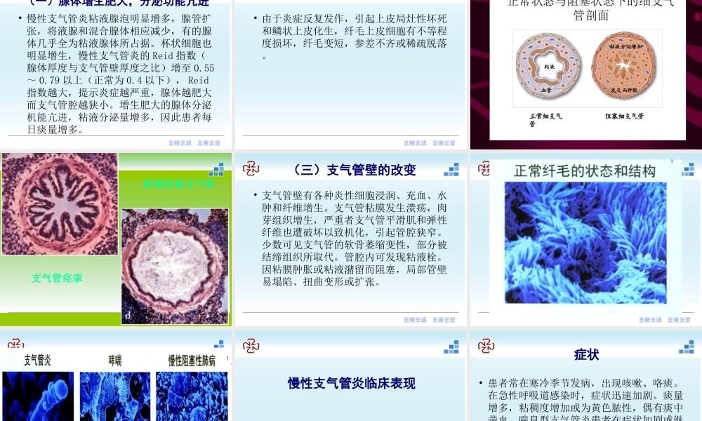 41呼吸内科-慢性支气管炎课件2012(1).ppt
