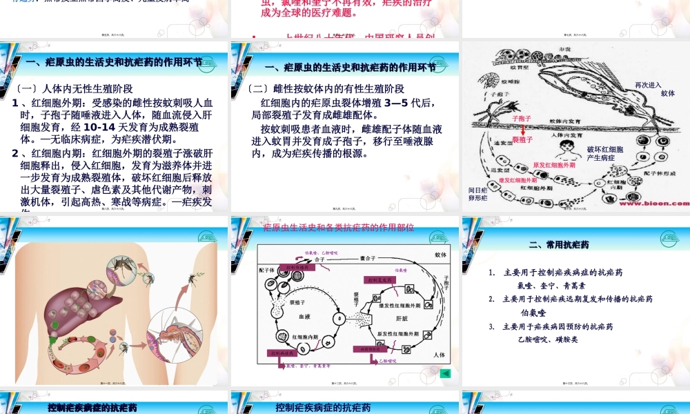 41章抗寄生虫药.pptx